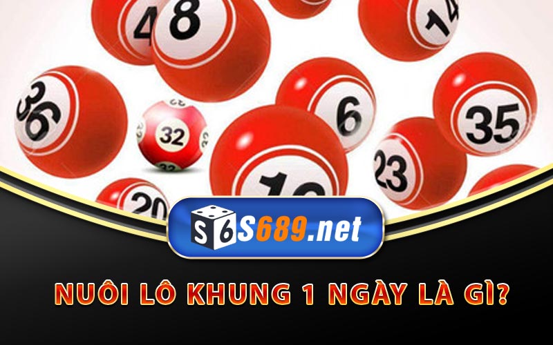 Nuôi Lô Khung 1 Ngày - Kinh Nghiệm Nuôi Lô Chuẩn Nhất 6 Nuôi lô khung 1 ngày là gì?